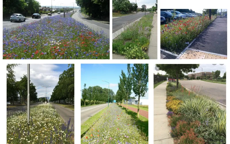 Tartu kaasava eelarve